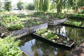 Hortillonnages D Amiens Un Potager Embarque Jardins De France