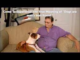 How To Become The Pack Leader With Your Dog - Part One - Youtube