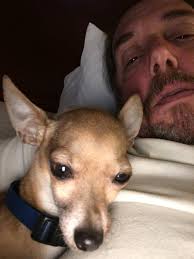 Tony and his little companion need your help urgently