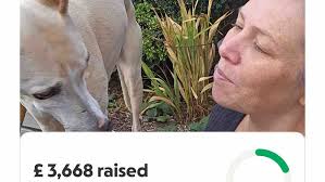 Fundraiser for Emma Nelson by Ashleigh Murphy : Help Emma get a wheelchair  to keep her MerryPaws dream alive