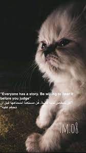 تصويري تصميم تصويري سناب قطط السعودية baby cats cats animals