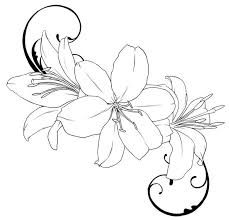 Black And White Flower Outline Tattoo Lily Tattoo Outline Drawings Sketch Coloring Page Flower Drawing Tumblr Flower Drawing Flower Outline Tattoo