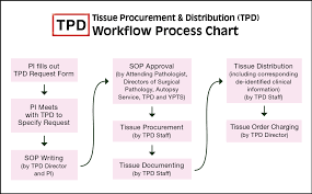 Process Flow Chart Pathology