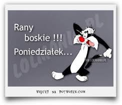 Przewodnik polaków w wirtualnym świecie. 16 Wesoly Piatek Ideas In 2021 Wesoly Piatek Zabawne Cytaty Memy