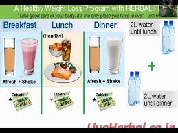 How To Lose Weight Fast And Effective Diet Program Women