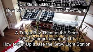 Maybe you would like to learn more about one of these? How To Buy Led Grow Lights For 20 Set Up A Grow Light Station Use Them Two Minute Trg Tips Youtube
