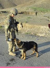 Soldier And His Dog Military Working Dogs Military Service Dogs Dog Soldiers