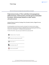 Image result for Anisopappus kirkii