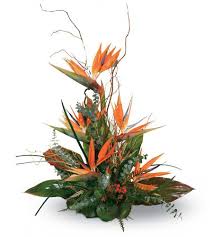 What can you say about 16. What S The Best Way To Say Thank You Say It With Flowers From People S Flower Shops Peoples Flowers