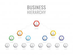 Organizational Structure Of The Company Business Hierarchy Hexagonal Infographic Elements Multilevel Business Management Structure Organizational Structure Infographic Business Management