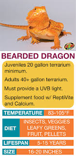 Pin On Beardie