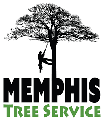 Instant projects us, llc, williams land clearing services. News About Tree Service Memphis Tree Service Memphis