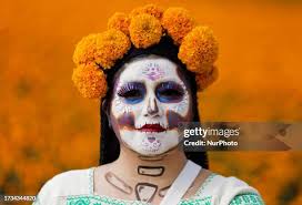 23,669 Mexican Flowers Stock Photos, High-Res Pictures, and Images