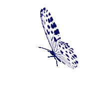 Butterfly png gif abeoncliparts cliparts vectors. Transparent Butterfly Gif Gifs Tenor