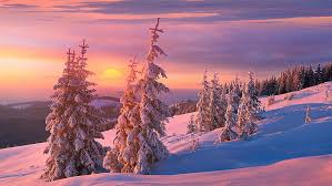 Hd Wallpaper Winter Snow Sunset Pink Sky Hillside Pine Tree Purple Sky Wallpaper Flare Check and download them right now!