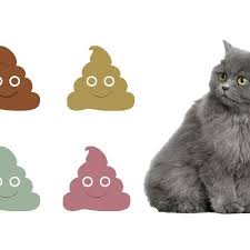 Is My Cats Poop Normal Cat Poop Chart With Pictures