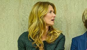 Laura dern is currently nominated for an oscar for her role in marriage story. universal pictures/lucasfilm/netflix. How Laura Dern Marriage Story Won The Oscar Goldderby