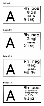 Rh Mta Index Html