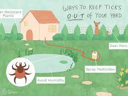 Outdoor tick treatments do not work overnight. How To Control Ticks In Your Yard