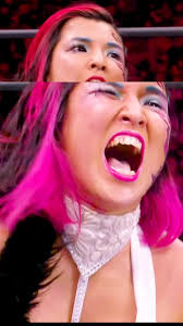 The Undertaker Praises Shiloh Hill After Nxt