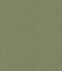 For more than 70 years (since 1947), decorative fabrics direct has been supplying our clients with a huge selection of decorative fabrics, indoor/outdoor fabrics, faux leather vinyl upholstery fabrics, commercial upholstery fabrics and marine canvas and awning fabrics. Home Decor Solid Fabric Signature Series Suede Sage