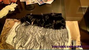 Put bleach far from your eyes; How I Diy Bleach Weave W Ombre Effect Youtube