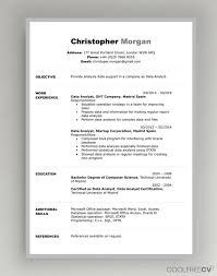 Cv Resume Templates Examples Doc Word Download