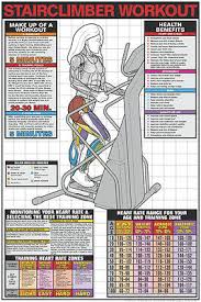 Stair Climber Workout Professional Fitness Gym Wall Chart