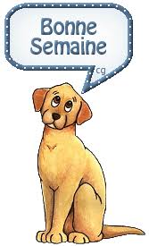 Image result for bonne semaine gif