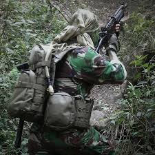 Gambar kartun tentara walls zee related posts to gambar kartun tentara share to google. Indonesian Navy In Action Jakartagreater Tentara Angkatan Darat Militer