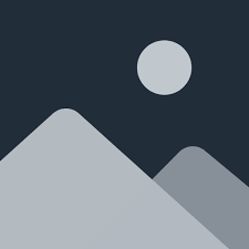 Western Toilet Repair (Basic Diagnostics & Leak Fix)