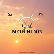 Good Morning Images to Brighten your ...