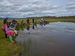 Maybe you would like to learn more about one of these? Environmental Education May Soon Be Taught In Malaysian Schools Clean Malaysia