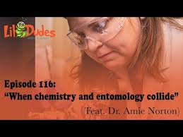 Lil Dudes Insect Academy Podcast