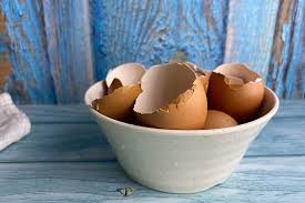 Nov 11, 2020 · don't be worried about salmonella. How To Use Eggshells In The Garden Gardener S Path