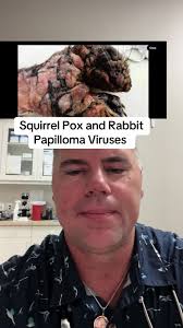 Squirrel Pox and Rabbit Papilloma Viruses Explained