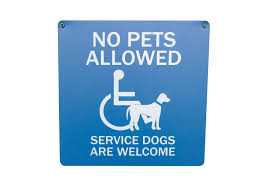 Taking your dog or cat on a flight abroad? The Problem With Fake Service Dogs