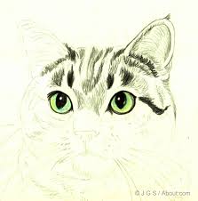 At the top of the head, depict kitty ears. Drawing Realistic Pencil Realistic Cat Eye Drawing