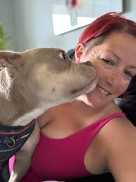 Picked up this girl to Foster from Pacc. Jean (A873781) ￼is a gorgeous  female Shepherd ￼malinois. When I picked her up she was terrified of me and  wanted nothing to do with