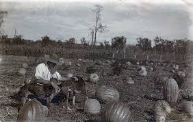 Peak Crossing pumpkin patch inspires tribute to Foote family