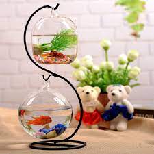 Check spelling or type a new query. Small Table Hanging Mini Glass Betta Fish Aquarium Buy Betta Fish Aquarium Mini Aquarium Mini Fish Tank Product On Alibaba Com