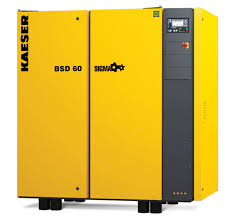 Kaeser BSD60 Manuals, Procedures & Parts List