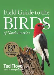 Field Guide to the Birds of North America: Floyd, Ted: 9780061120404:  Amazon.com: Books