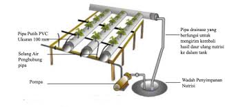 Nft stands for nutrient film technique, and it employs a thin layer of nutrients that flow over the roots. Cara Kerja Sistem Dft Deep Flow Technique Pada Hidroponik Share Infotech