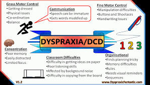 Dyspraxia Diagram Archives Dyspraxicfantastic Com