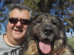 Sarplaninac . Australia.