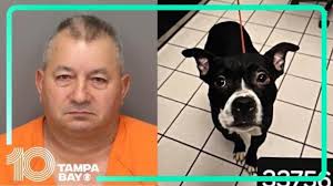 Judge denies motion for St. Pete man accused of killing dog