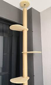 Showing results for floor to ceiling cat tree. Cat Tree Up To 3m Ceiling Height Pet Supplies For Cats Cat Accessories On Carousell