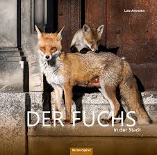 Der swiftfuchs gehört zu den echten füchsen. Der Fuchs In Der Stadt Gebundenes Buch Bucherlurch Gbr