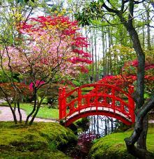 Japanese Garden Japanese Garden Japanese Garden Design Beautiful Gardens